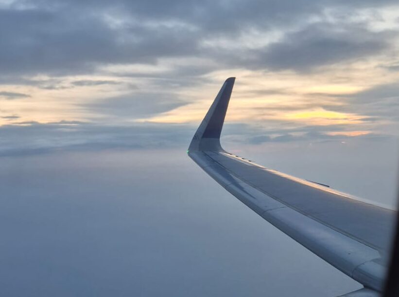 Lost and Found: A Lesson in Airport Chaos